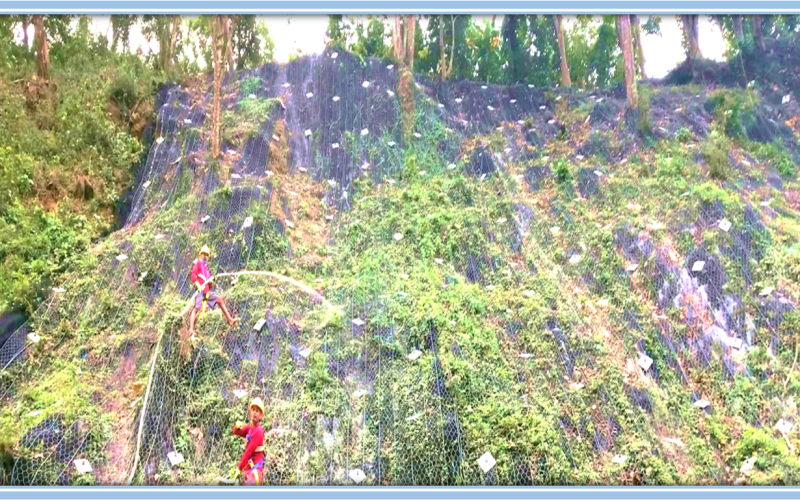 Hydroseeding